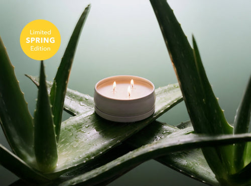 Cucumber Aloe 3-Wick Soy Candle