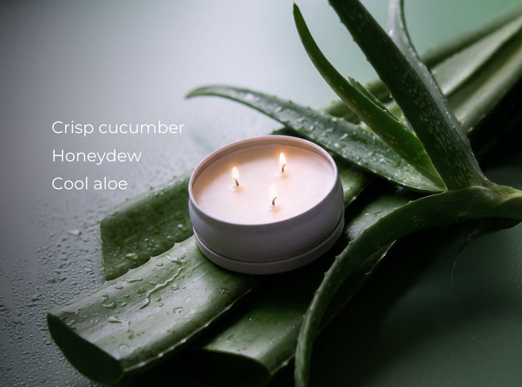 Cucumber Aloe 3-Wick Soy Candle