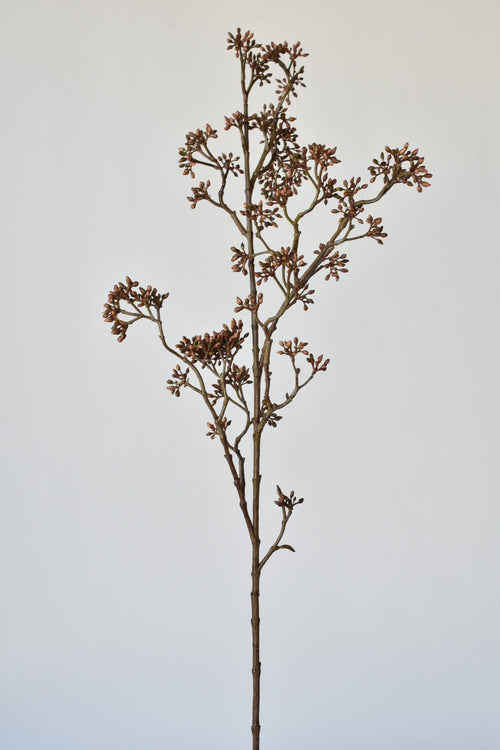 Brown Sedum Faux Branch — 38 in