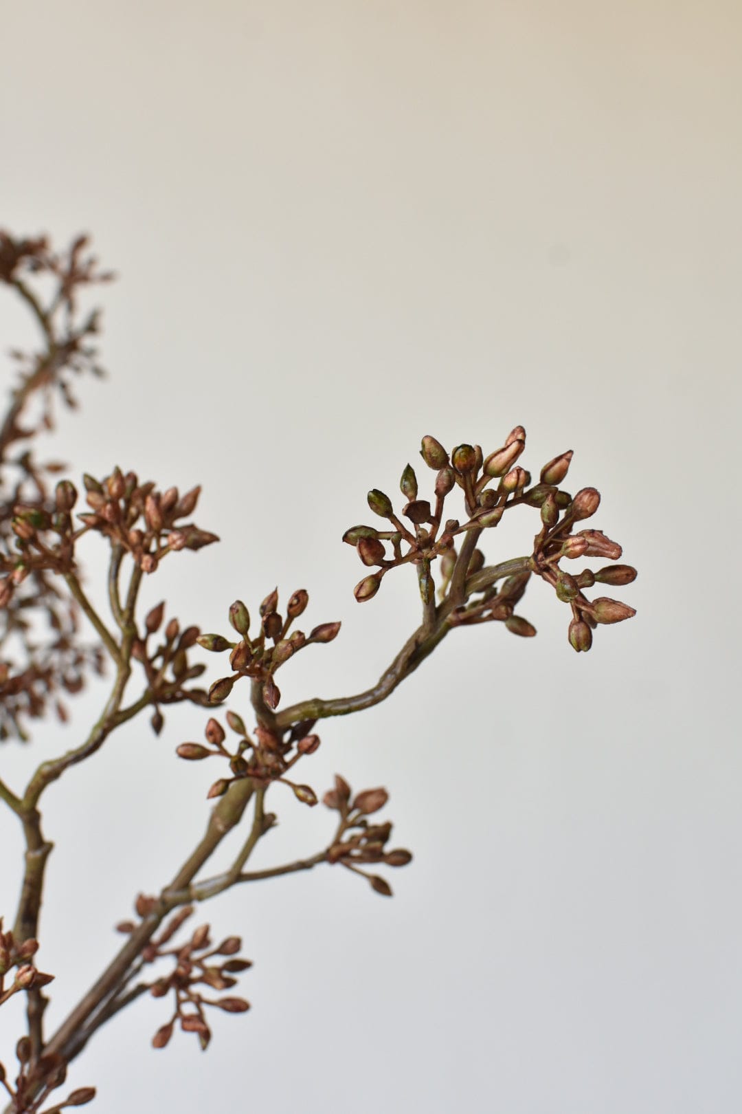 Brown Sedum Faux Branch — 38 in