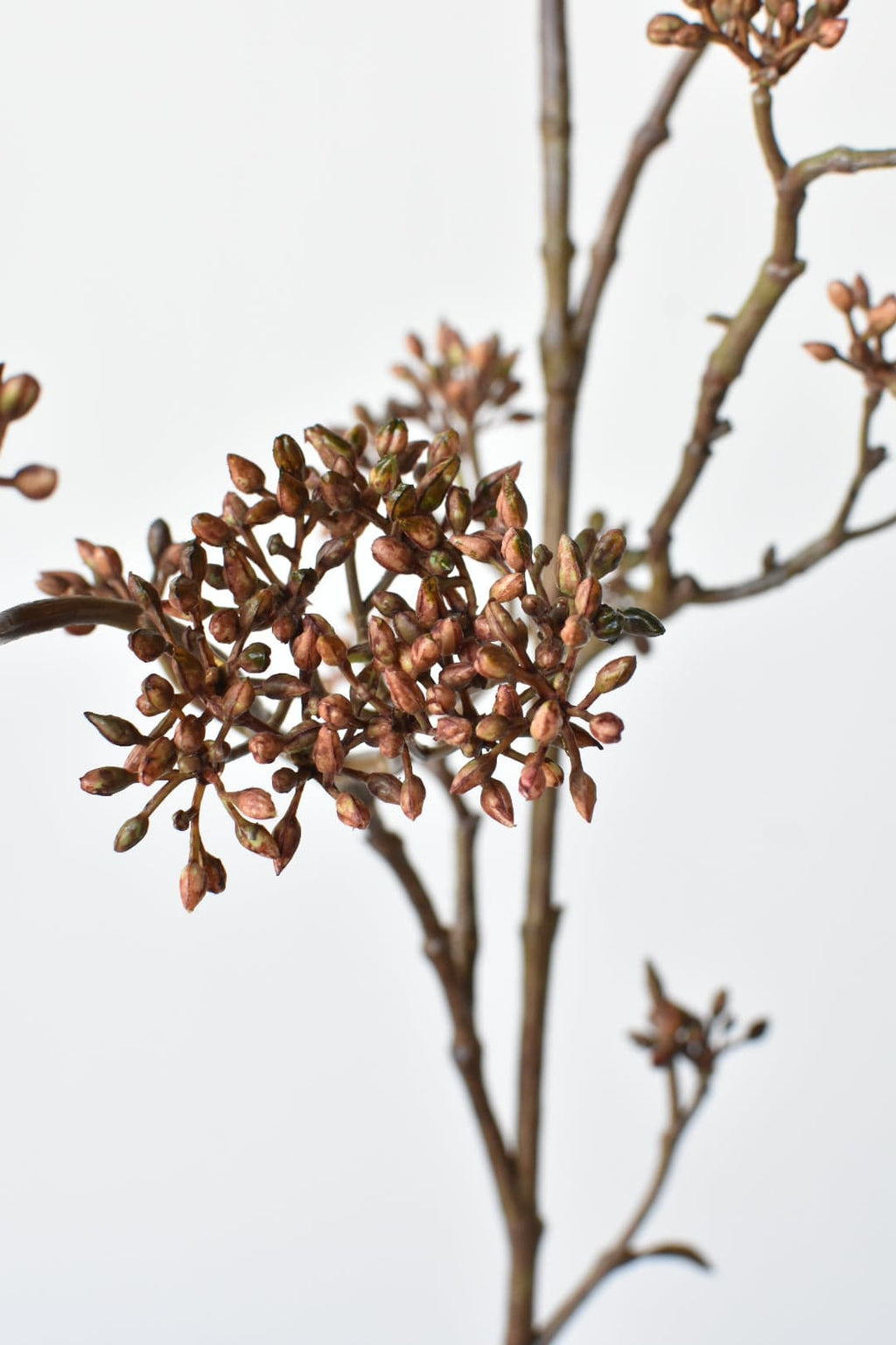 Brown Sedum Faux Branch — 38 in