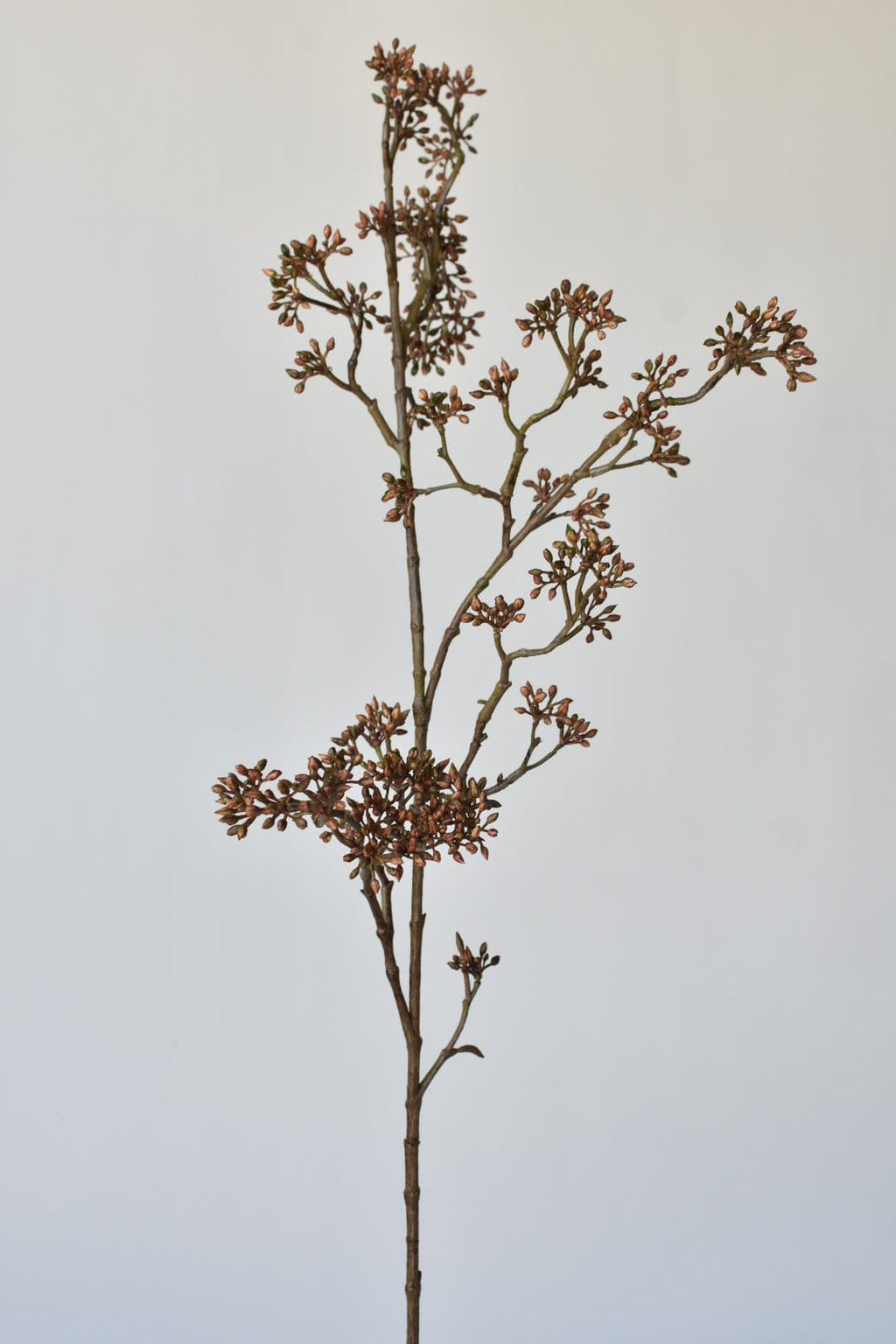 Brown Sedum Faux Branch — 38 in