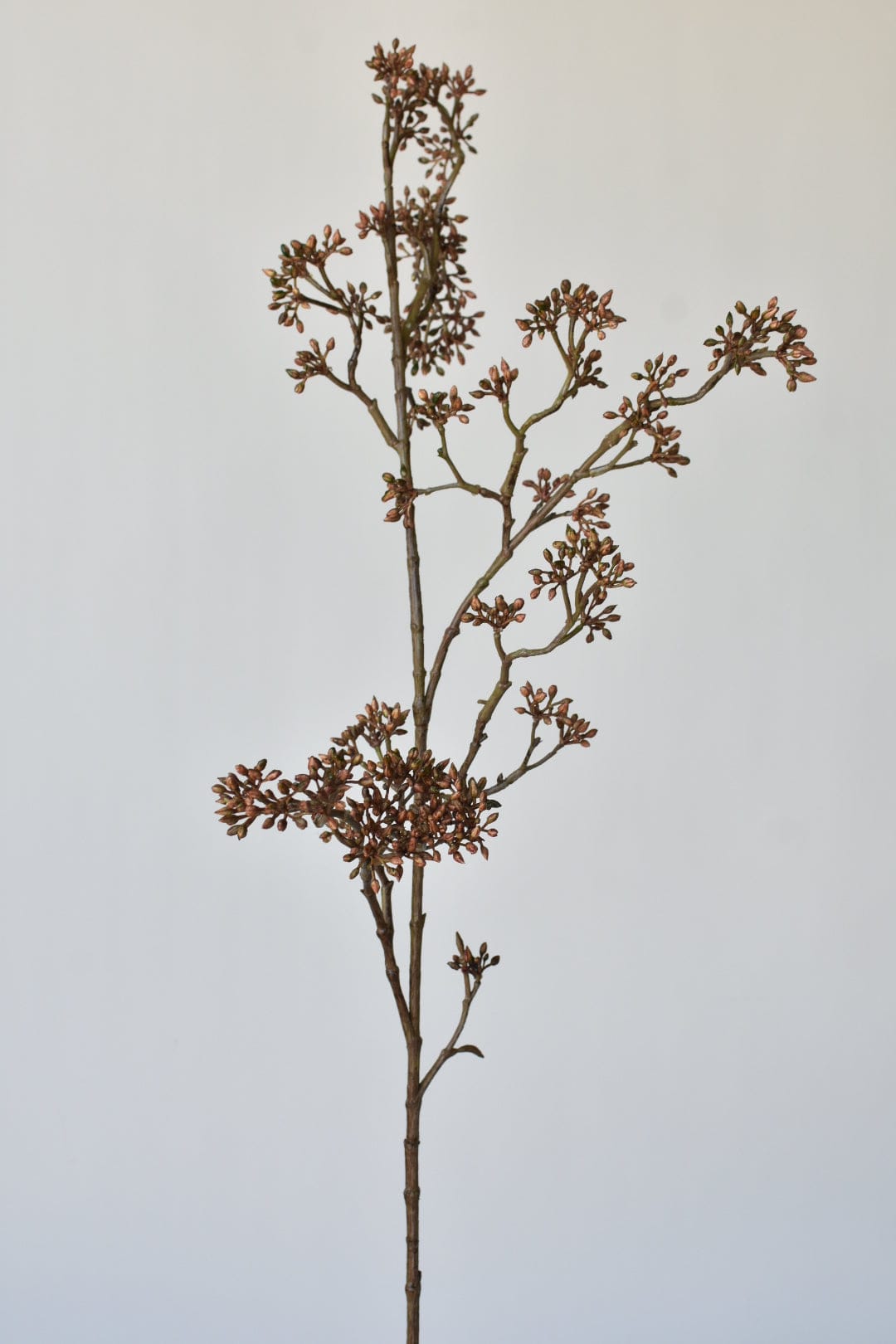 Brown Sedum Faux Branch — 38 in