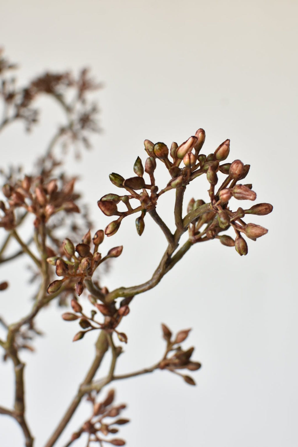 Brown Sedum Faux Branch — 38 in