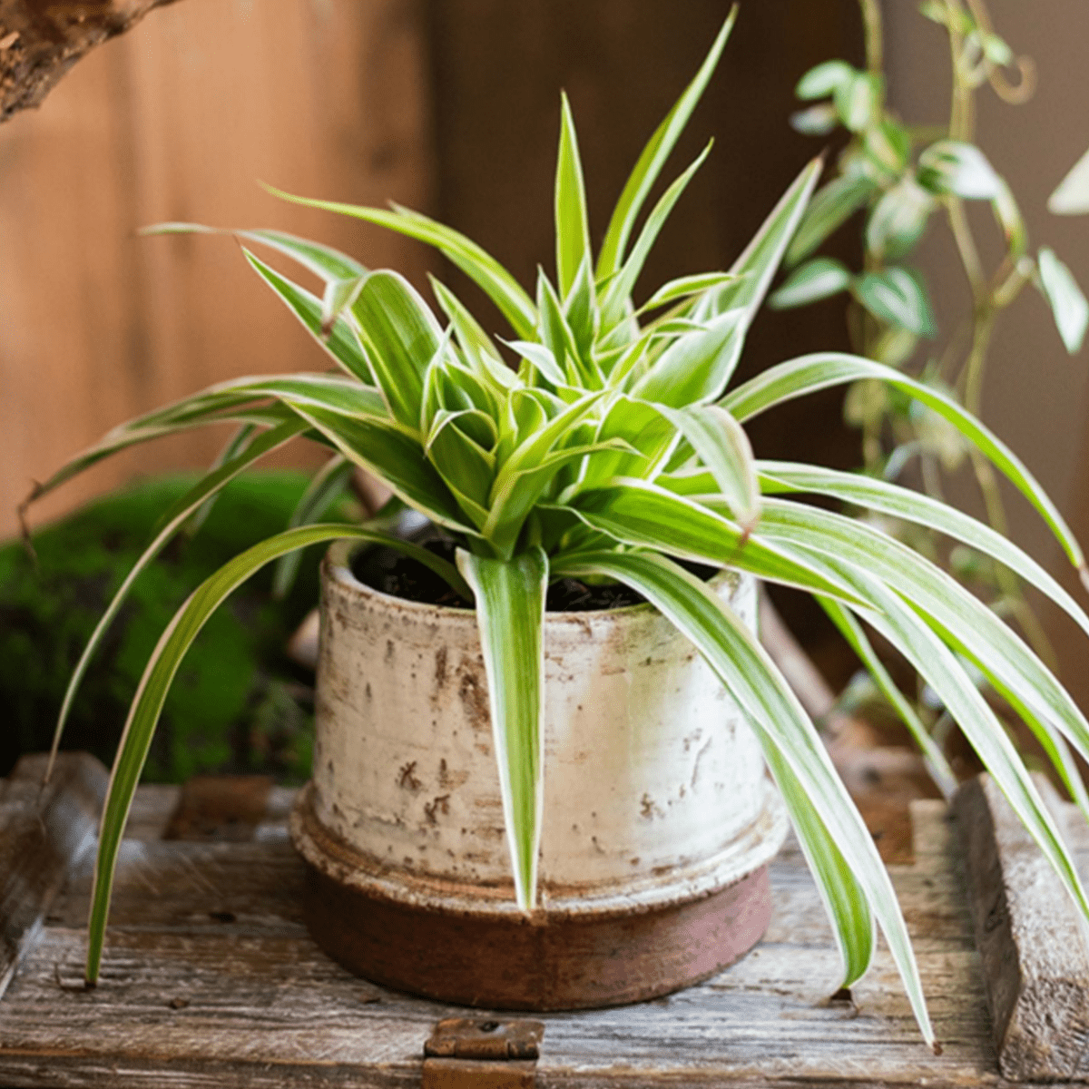 Restoration White Ceramic Vase